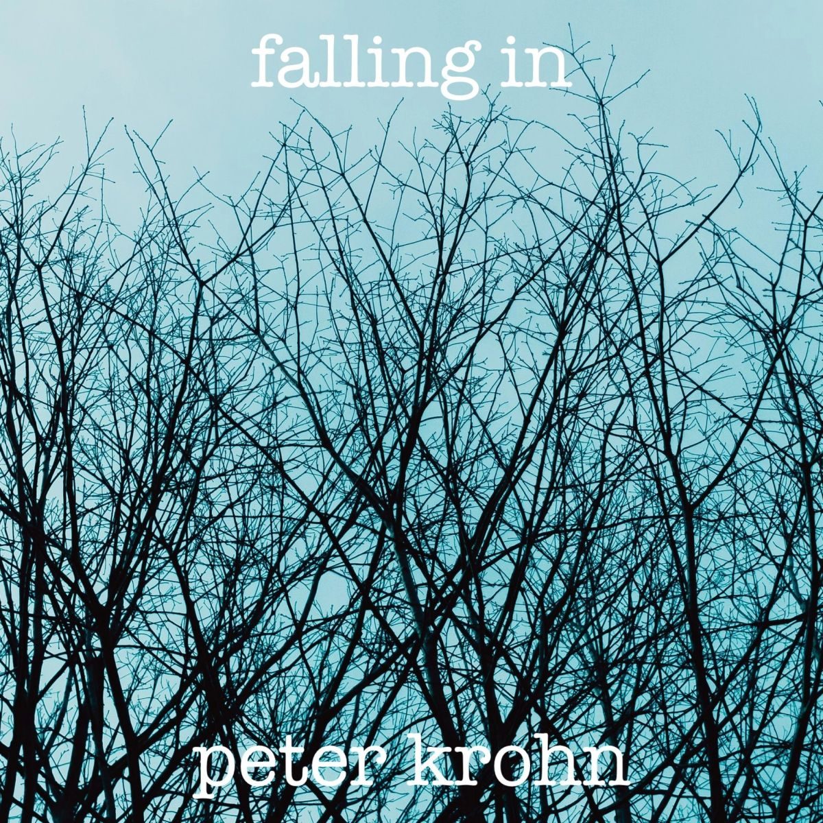 Falling In cover art